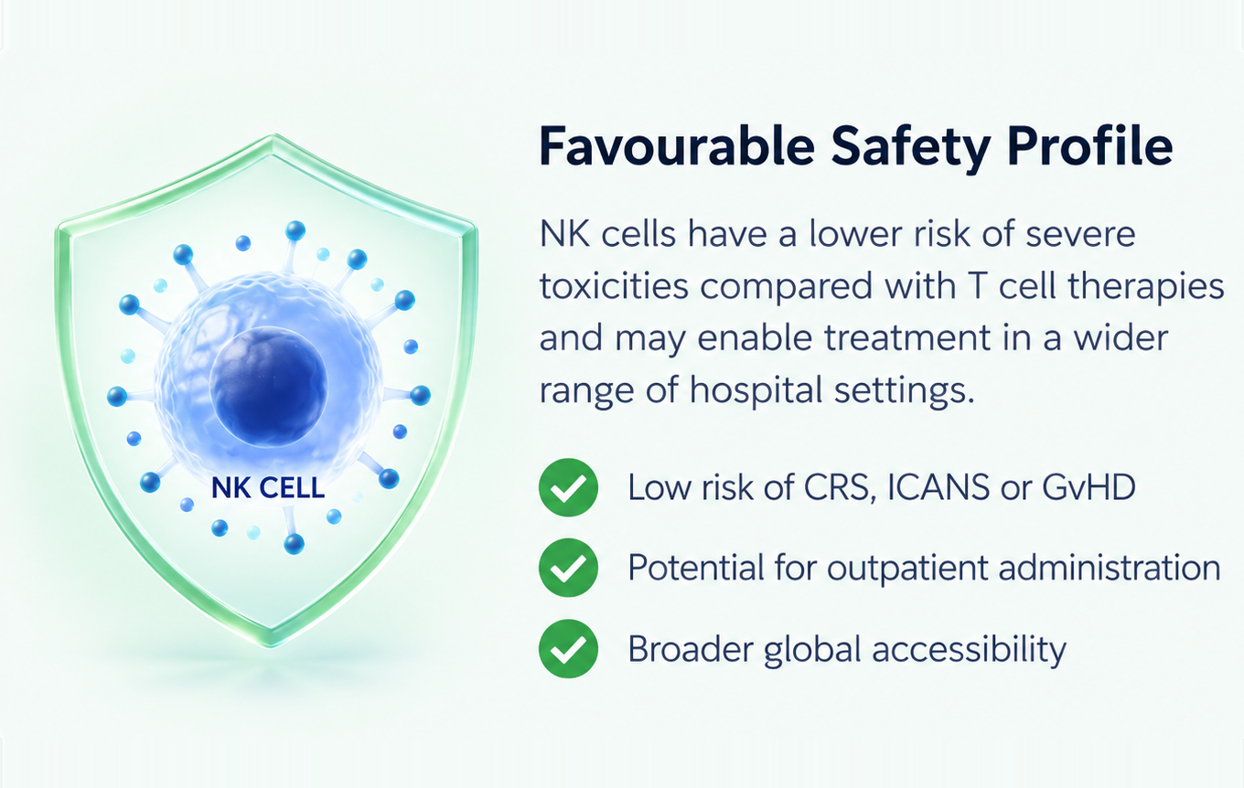 Favourable safety profile: low risk of CRS, ICANS or GvHD