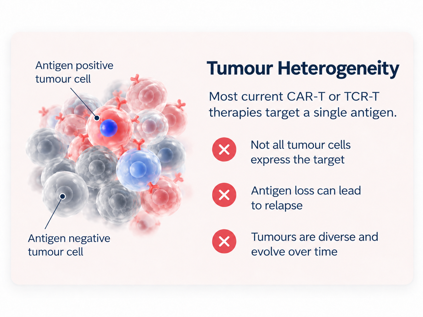 Tumour heterogeneity: antigen positive and antigen negative tumour cells